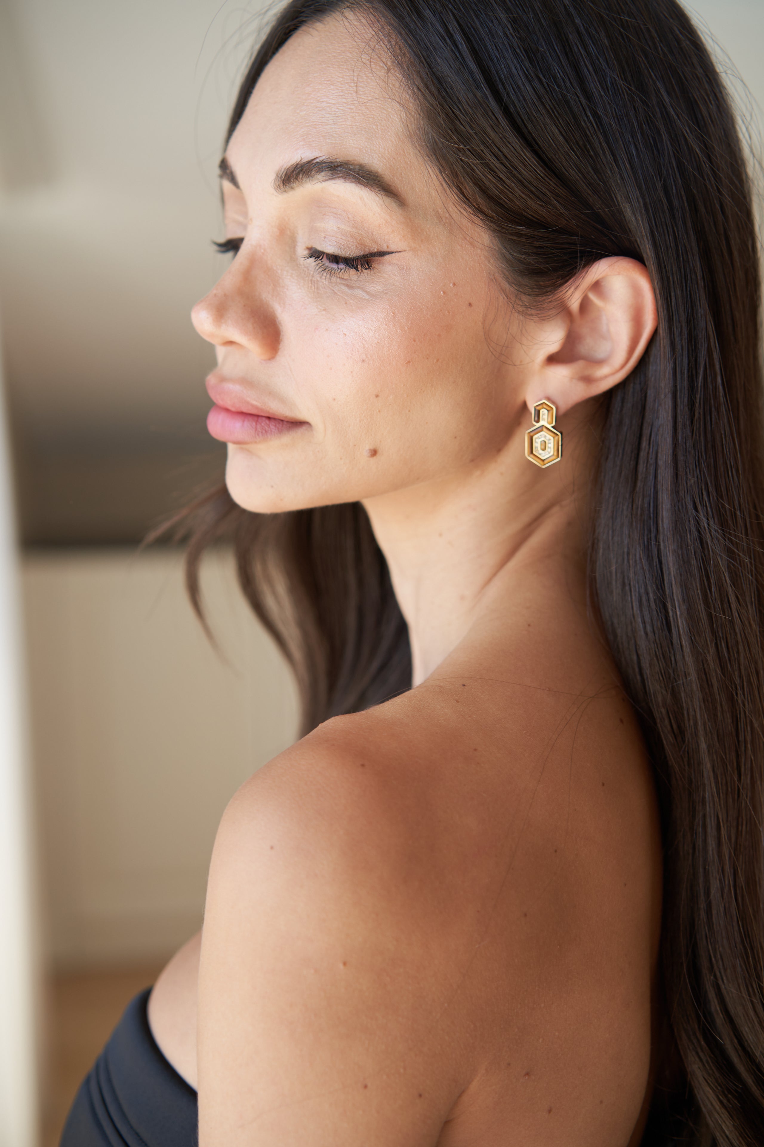 HEDS Hexagon Earrings – Brown Tiger's Eye & Diamond